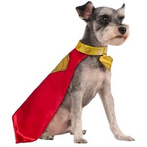 Superhero- Krypto  Dog Costume